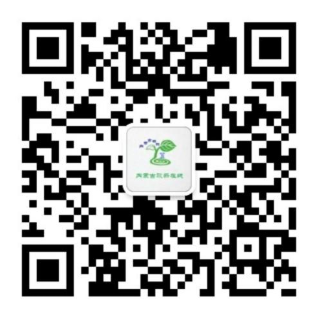 jbo竞博·(电竞)Dota2、LoL、CSGO等电较量事竞猜